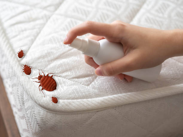 Professional Pest control in Kenilworth, PA